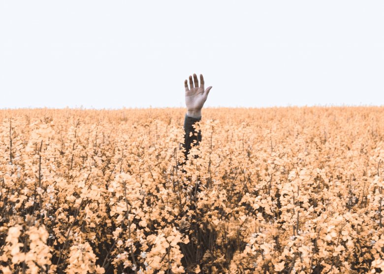 Main en l'air au milieu d'un champs de blé